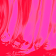 Ty Segall: Love Fuzzz  (DC986)