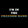 Ty Segall &amp; Freedom Band: "I'M IN THE FREEDOM BAND" T-Shirt (DC675T)