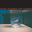 David Grubbs: The Thicket (DC160)