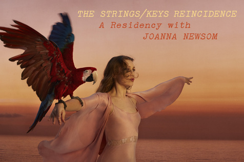 Large_joanna_newsom_la_residency_admat