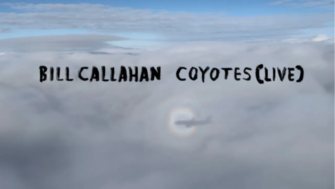 Large_billcallahancoyotesvideo